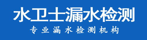 洪湖暗管漏水检测
